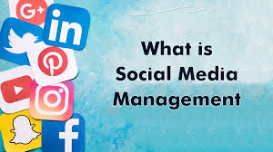 Social Media Management Illustration